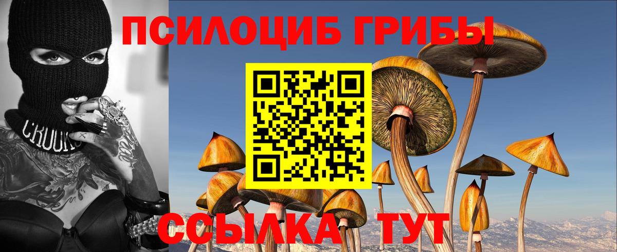Галлюциногенные грибы мицелий Санкт-Петербург