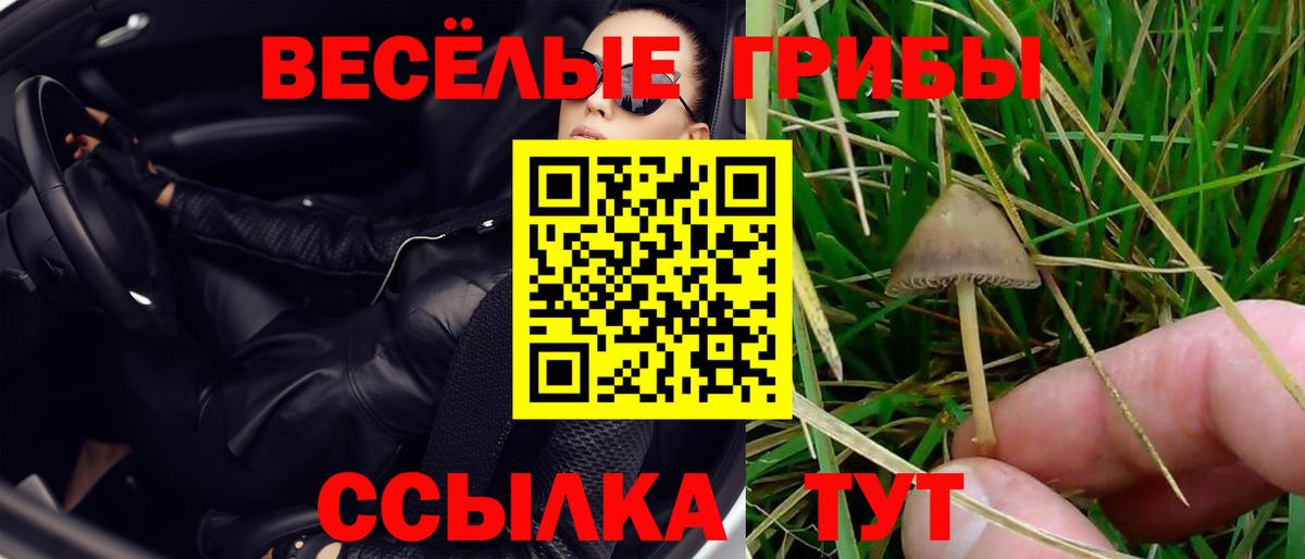 Псилоцибиновые грибы мухоморы  Вход с VPN  Санкт-Петербург 